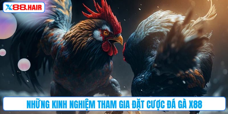 Những kinh nghiệm tham gia đặt cược đá gà X88